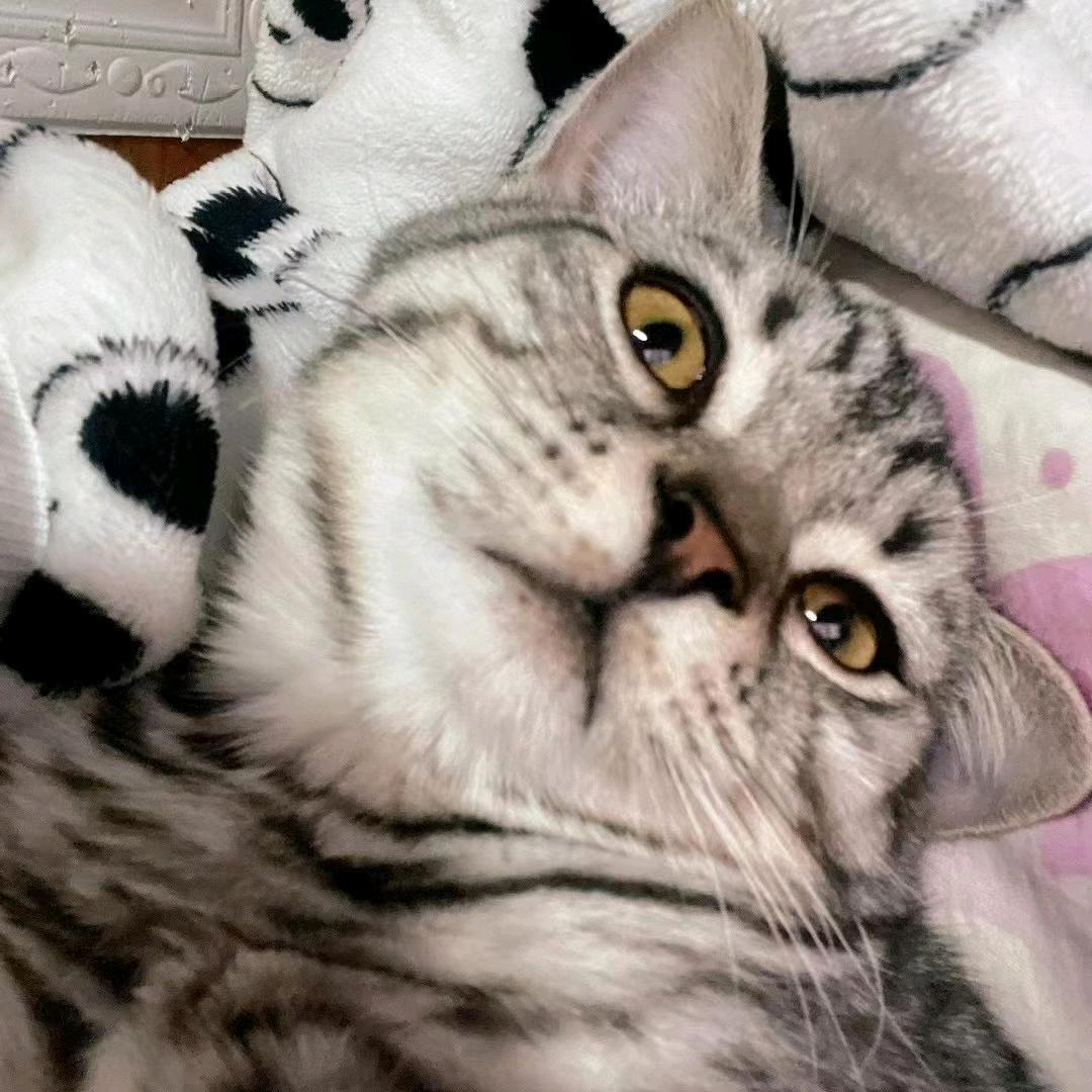 地球转我也转