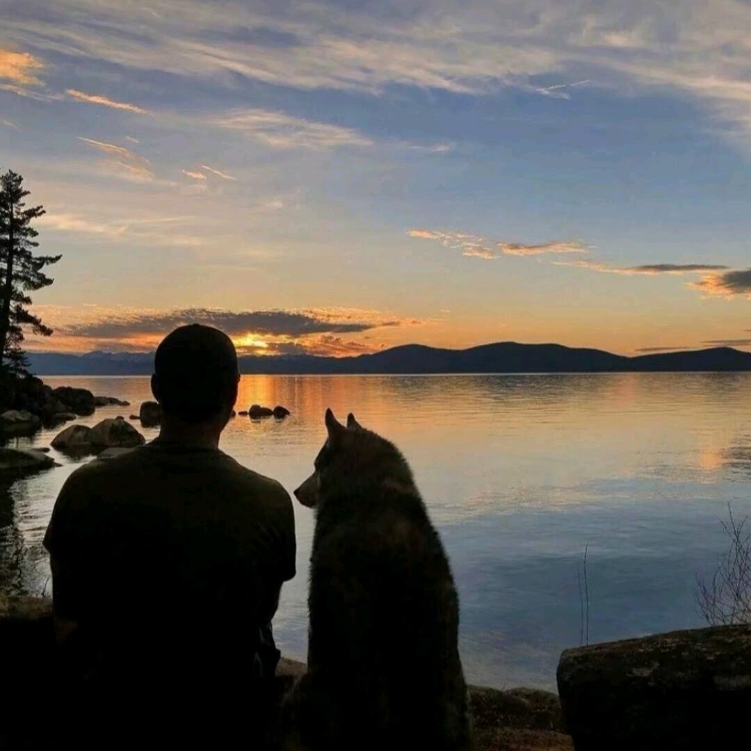 心软的点（破产版）