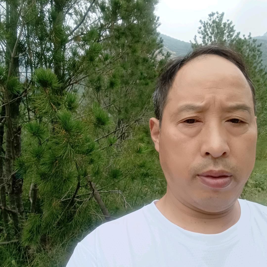 成队长