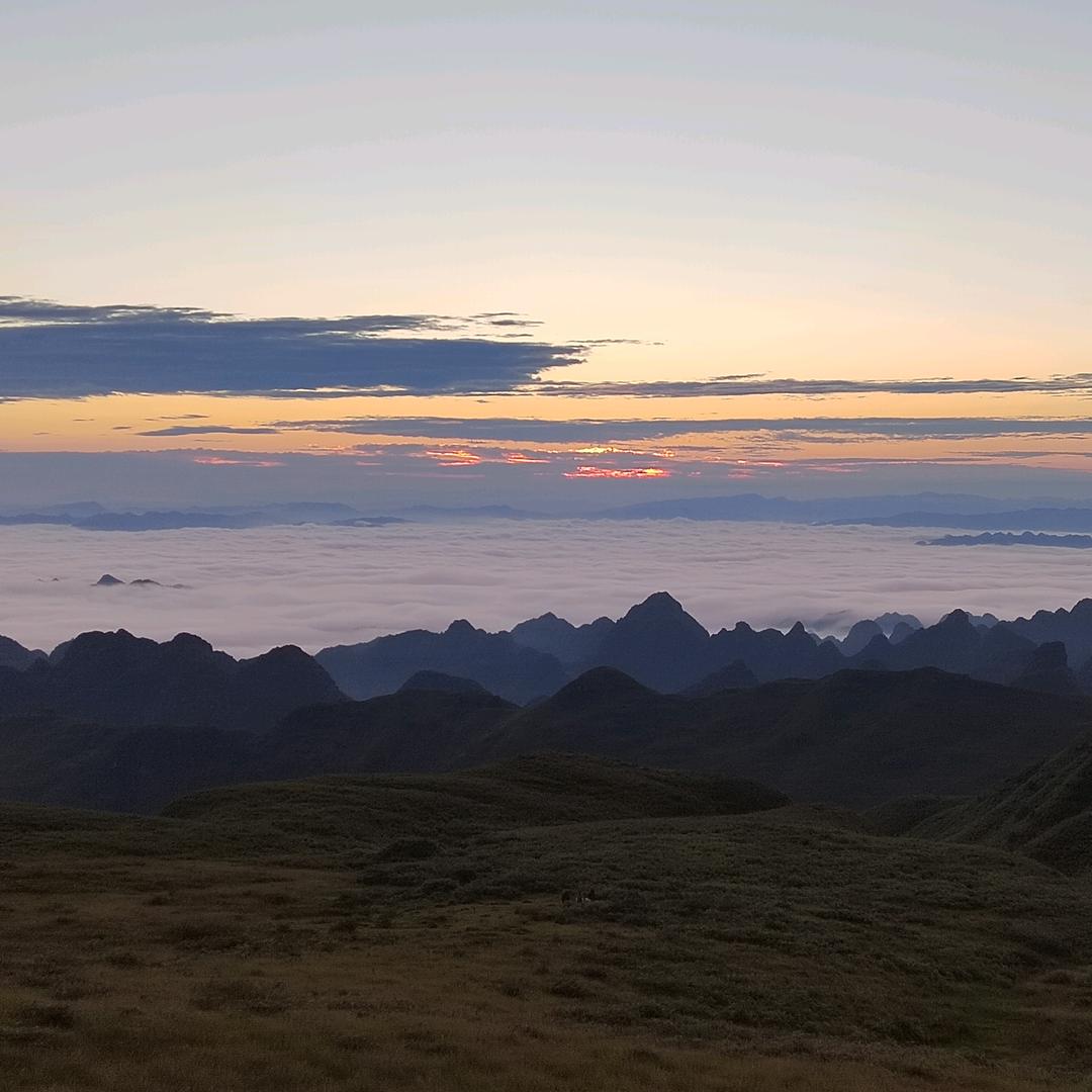 不恋过往不忧未来🌿