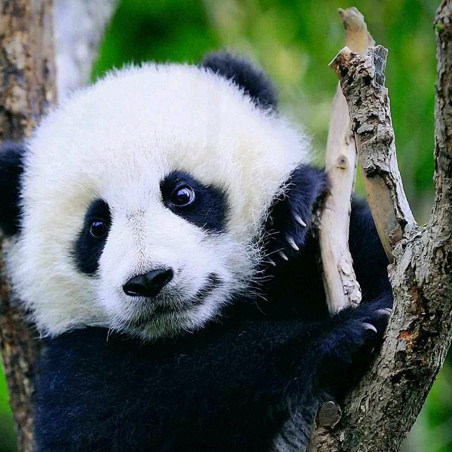 你若安好便是晴天🦚妍（42）