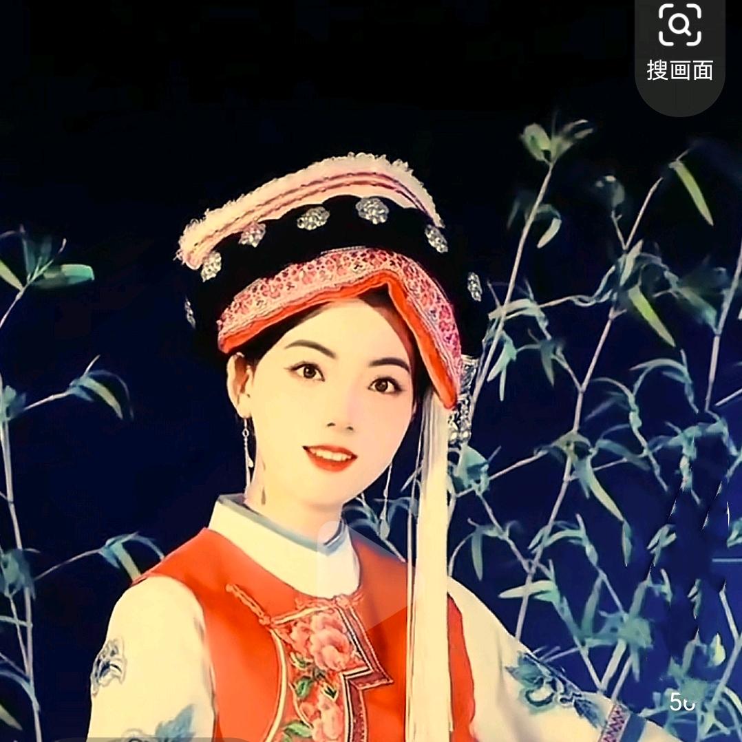 白族菇凉