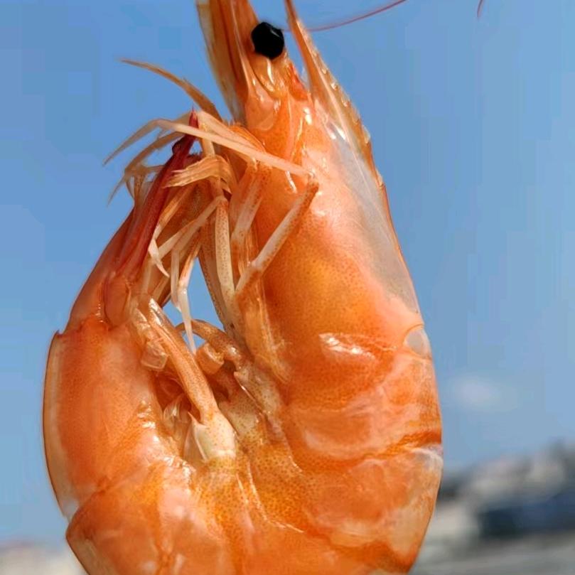 虾蟹