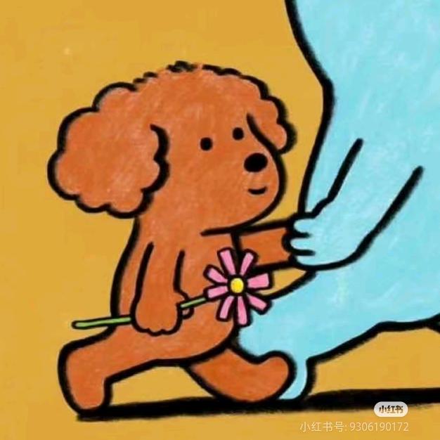 小可爱*^o^*