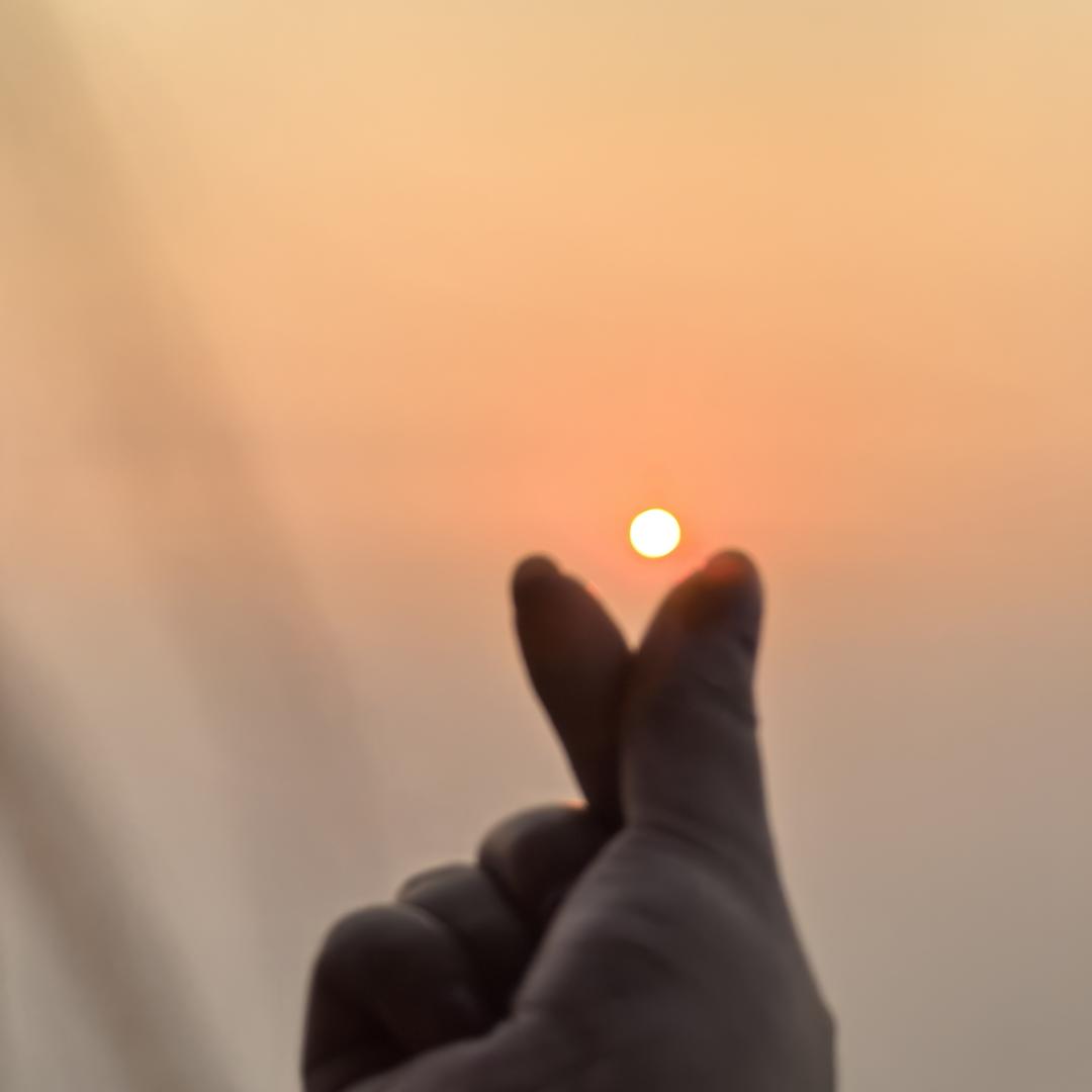 L1