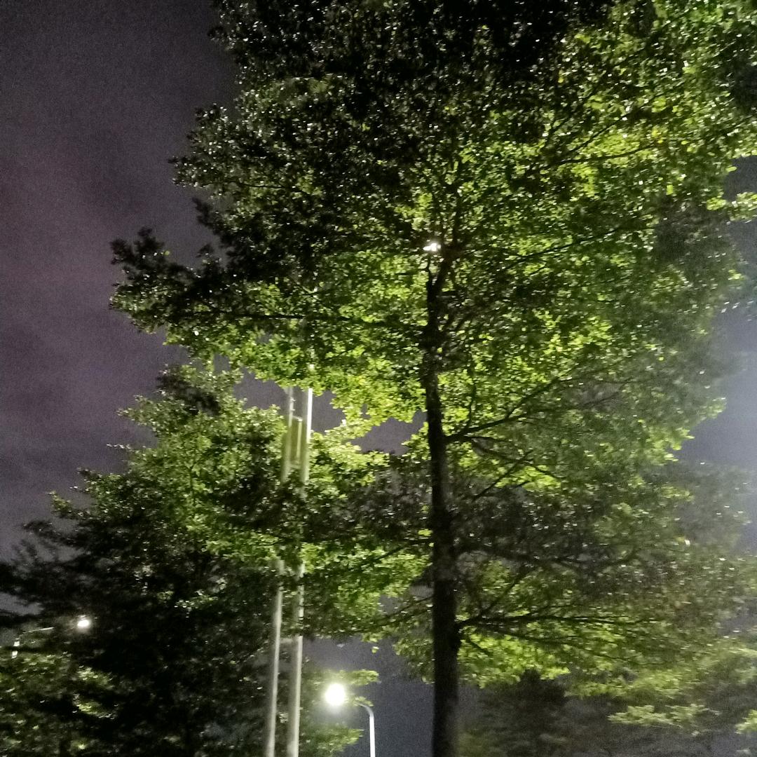 毛毛雨