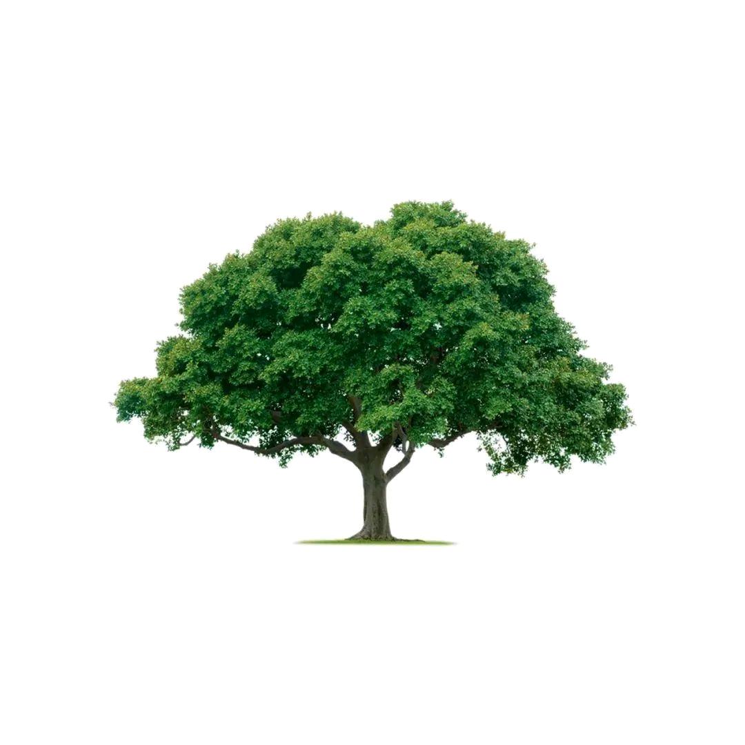 晴空传媒-飞天巨幕