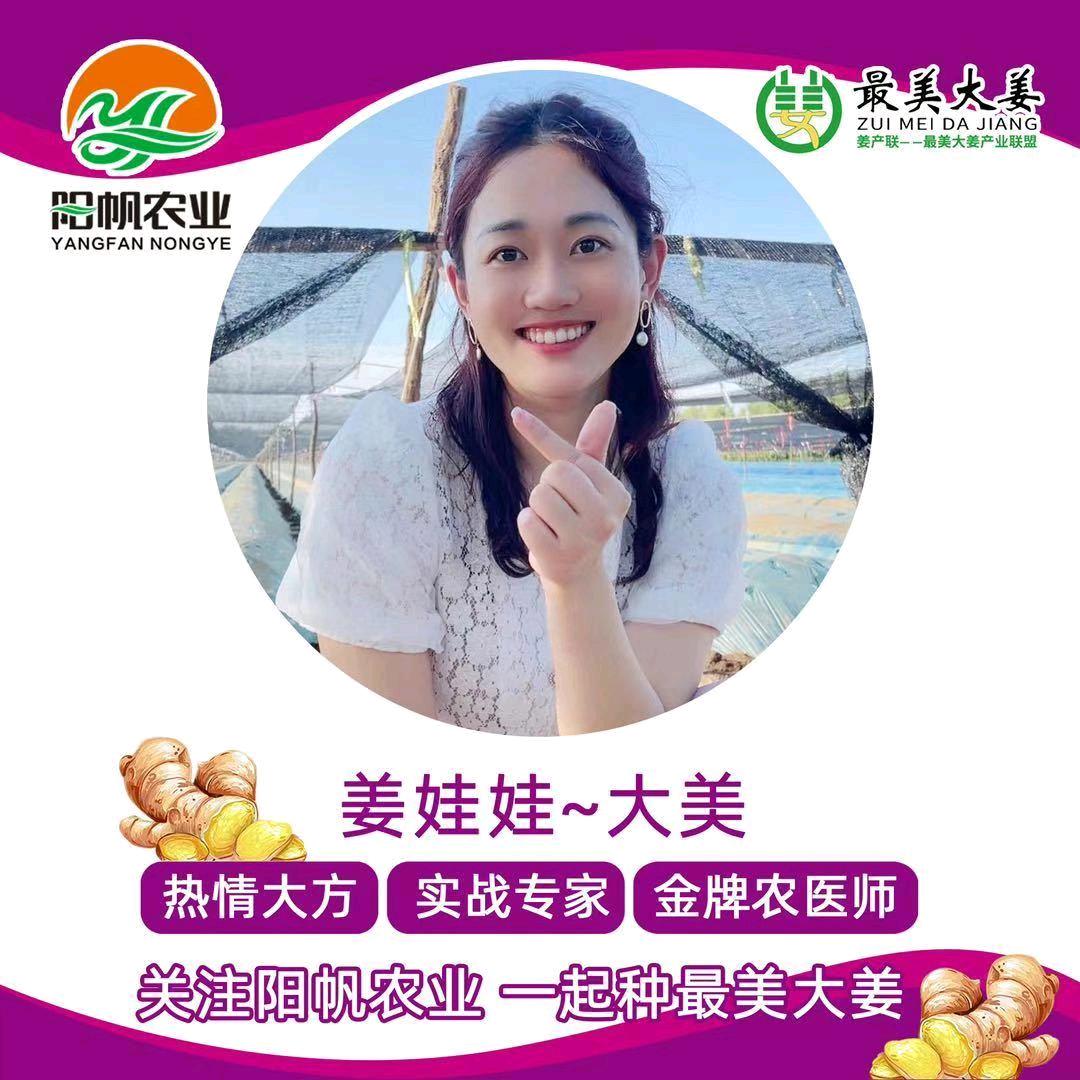 阳帆农业-大美