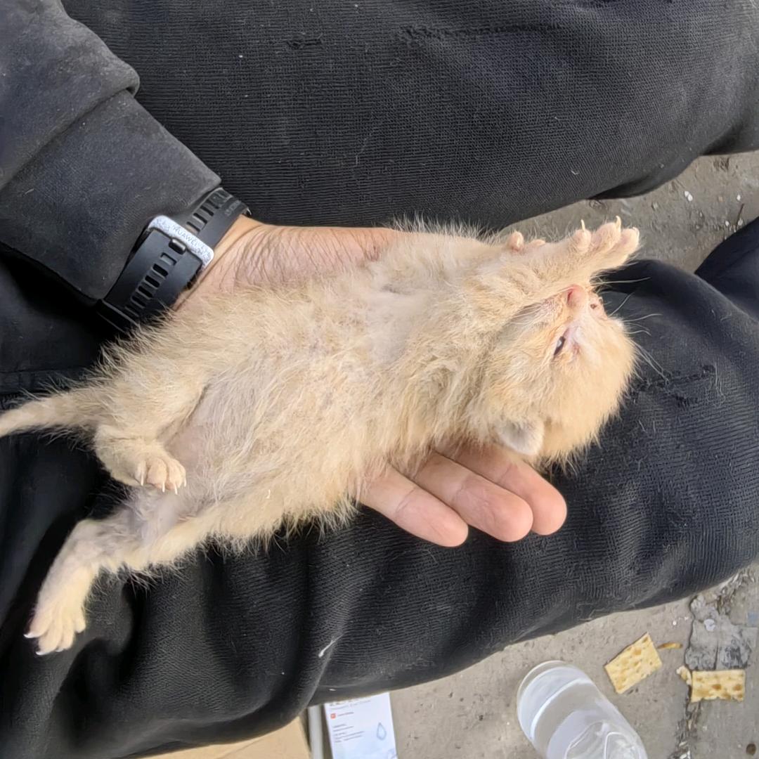 指尖转换站 5精起步