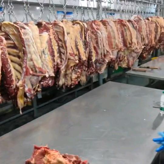 莲姐内蒙锡盟草原牛羊肉