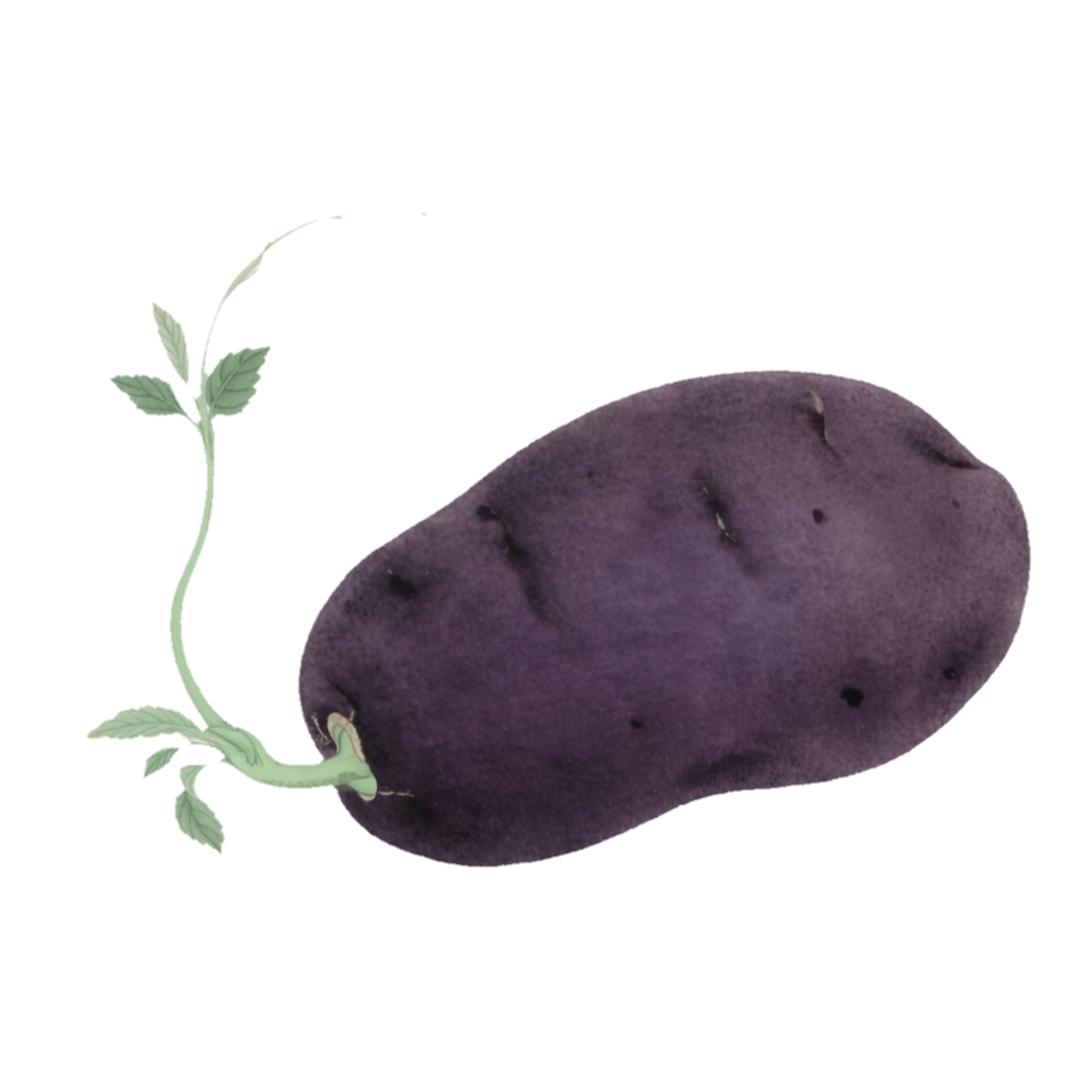 冷酷紫薯