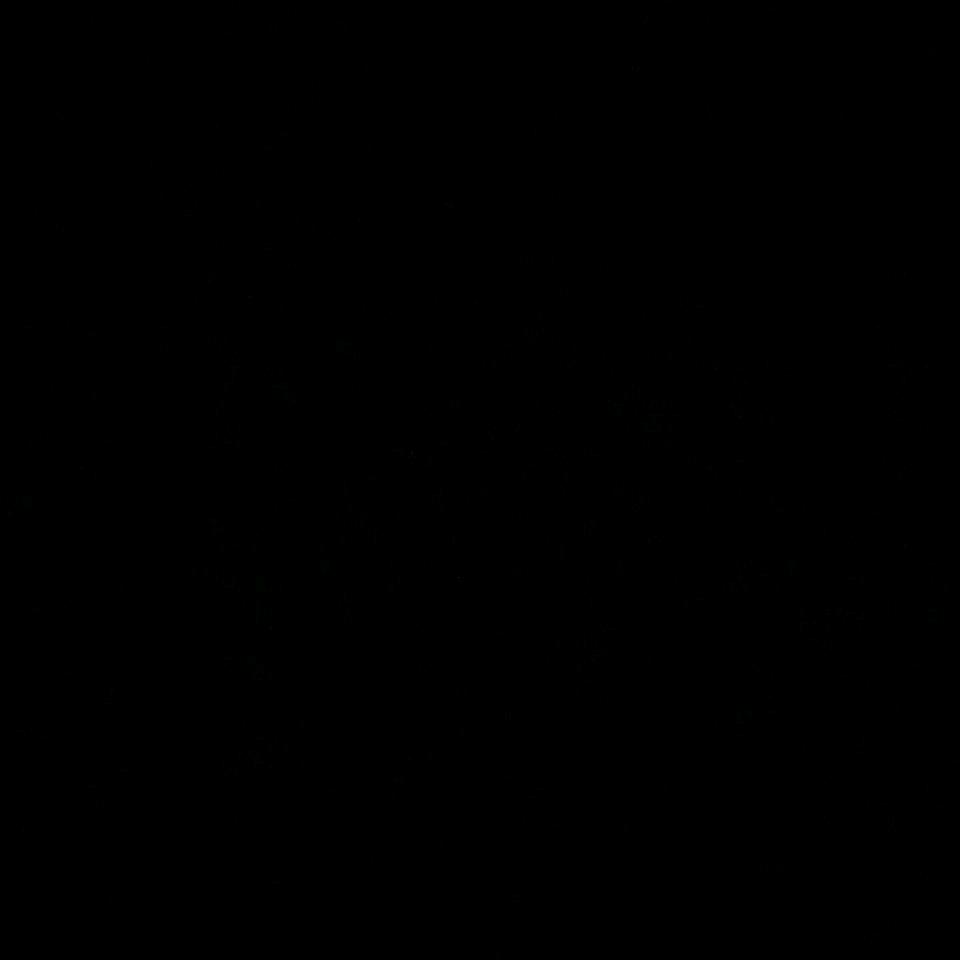 小龙女（退网版）