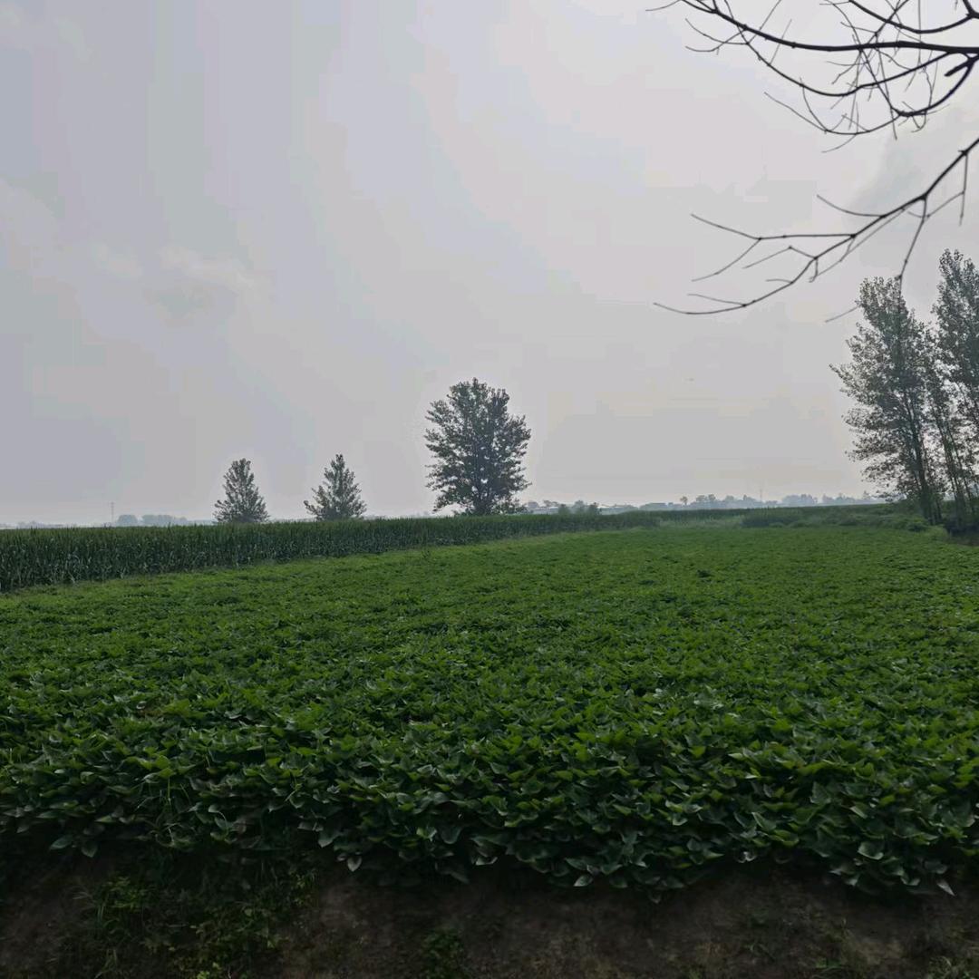 余生随心强辉精工瓷砖