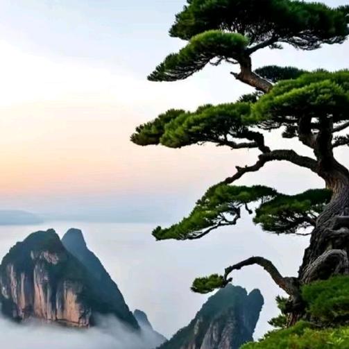 ，老家是52。。焊工