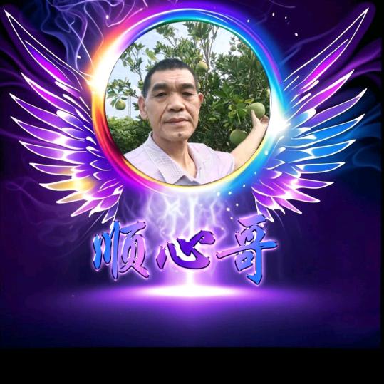 顺心哥