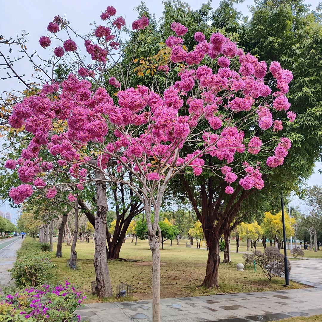 秦时明月汉时关