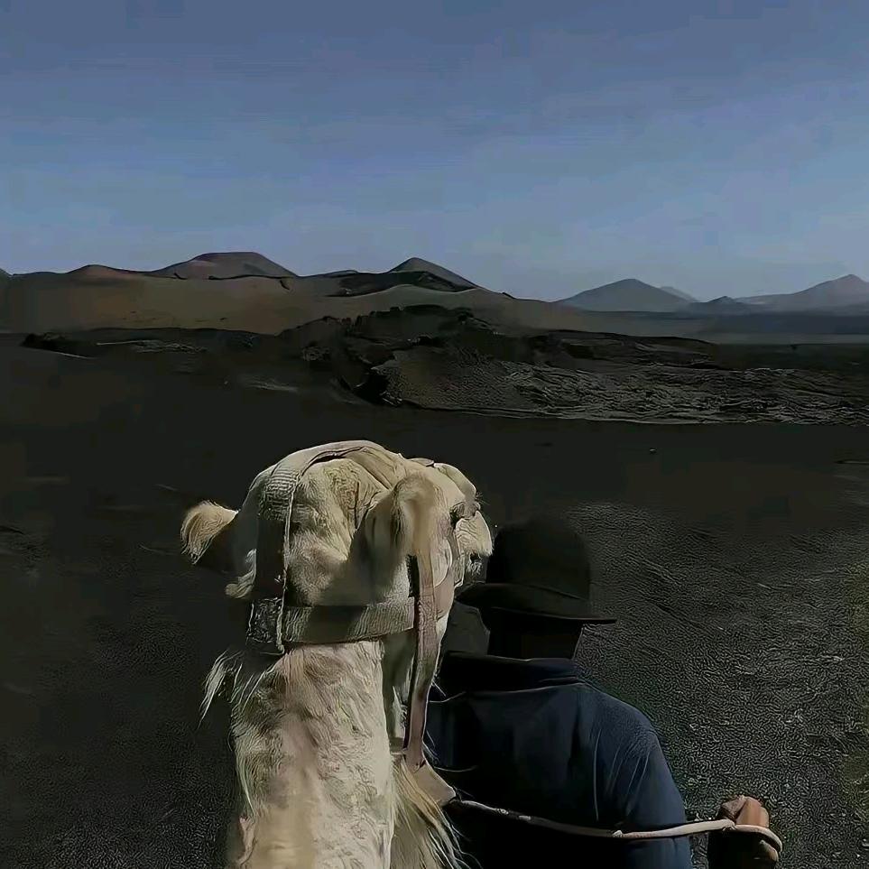 喜欢喝甜水.🦭