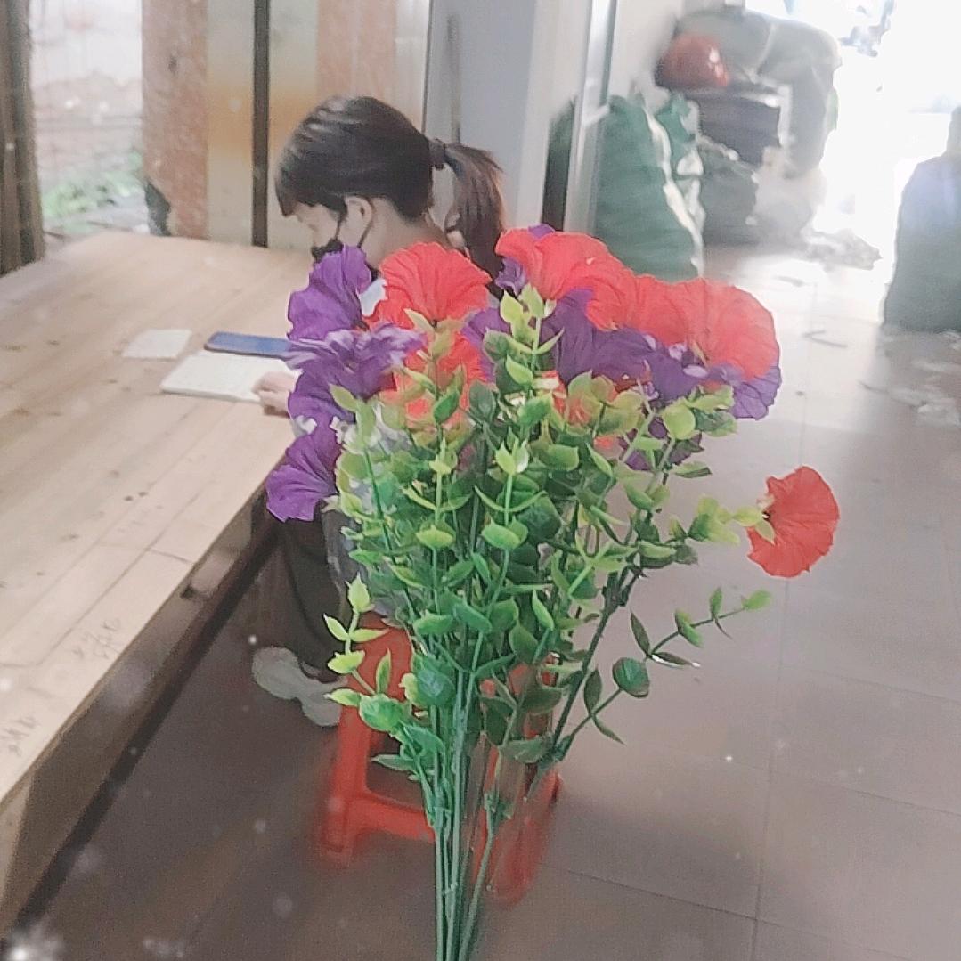 丽客莱（永恒之花）