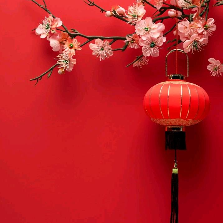 主页群聊都有