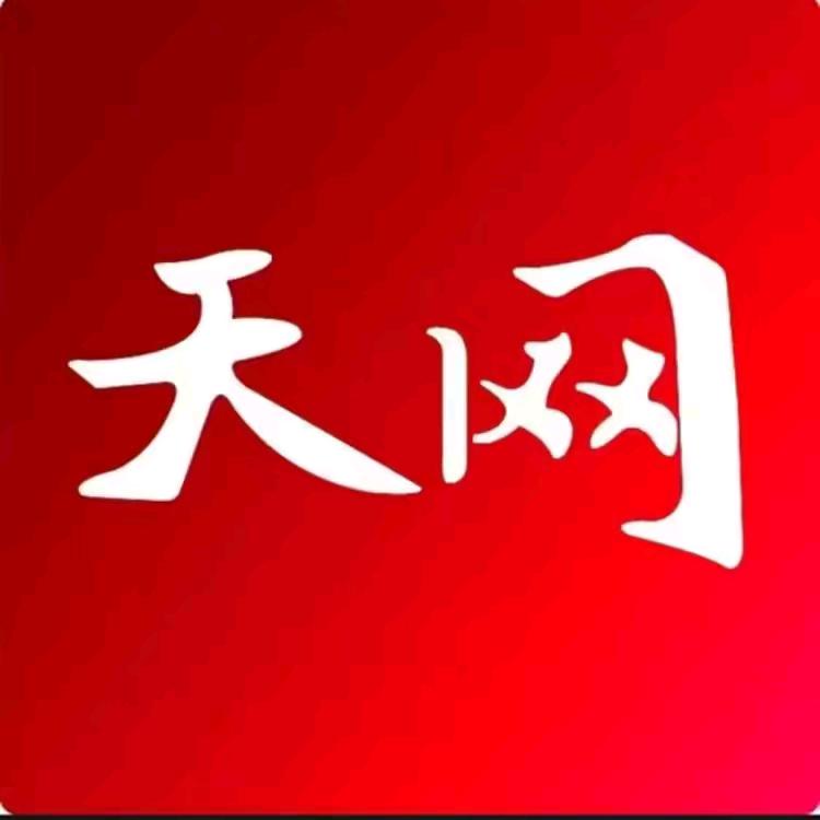 天网【纪实故事】