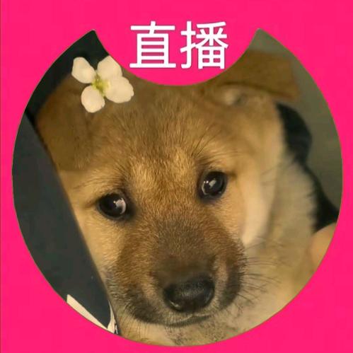 古月黑土