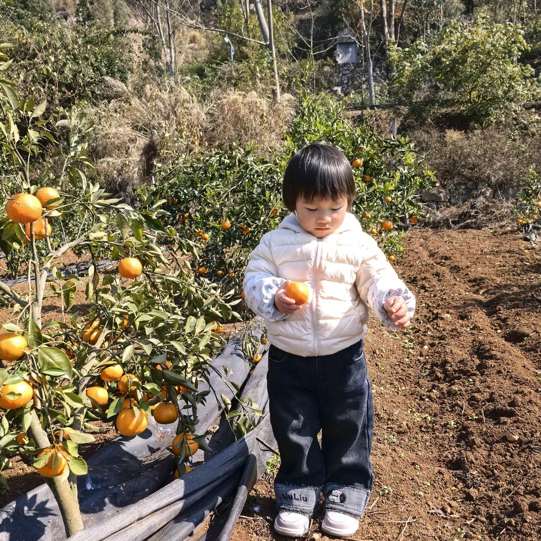 元宝团子🍎🍎