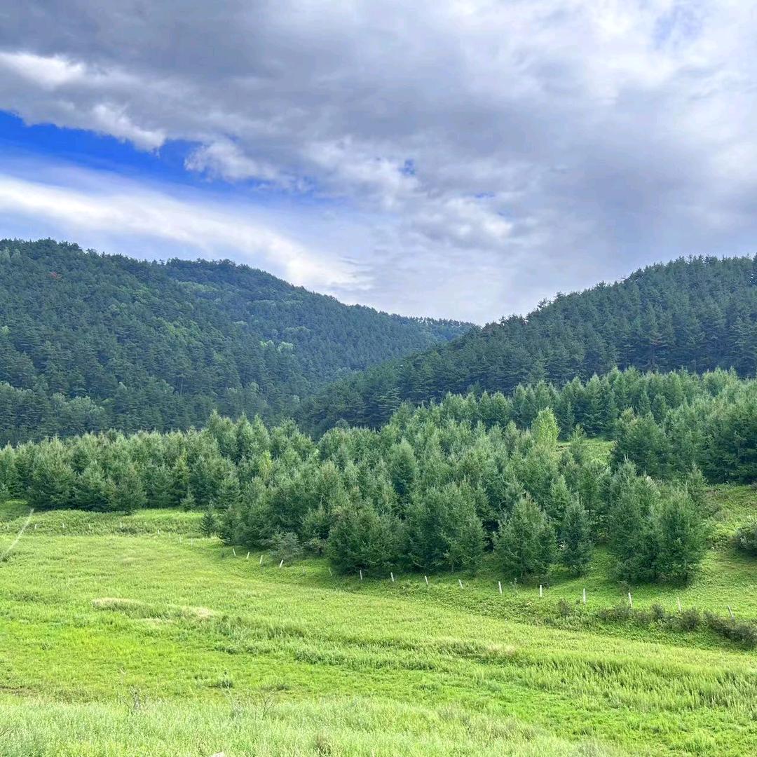 😜哎呦,,Ծ^Ծ,,张小黑哦(´-ω-