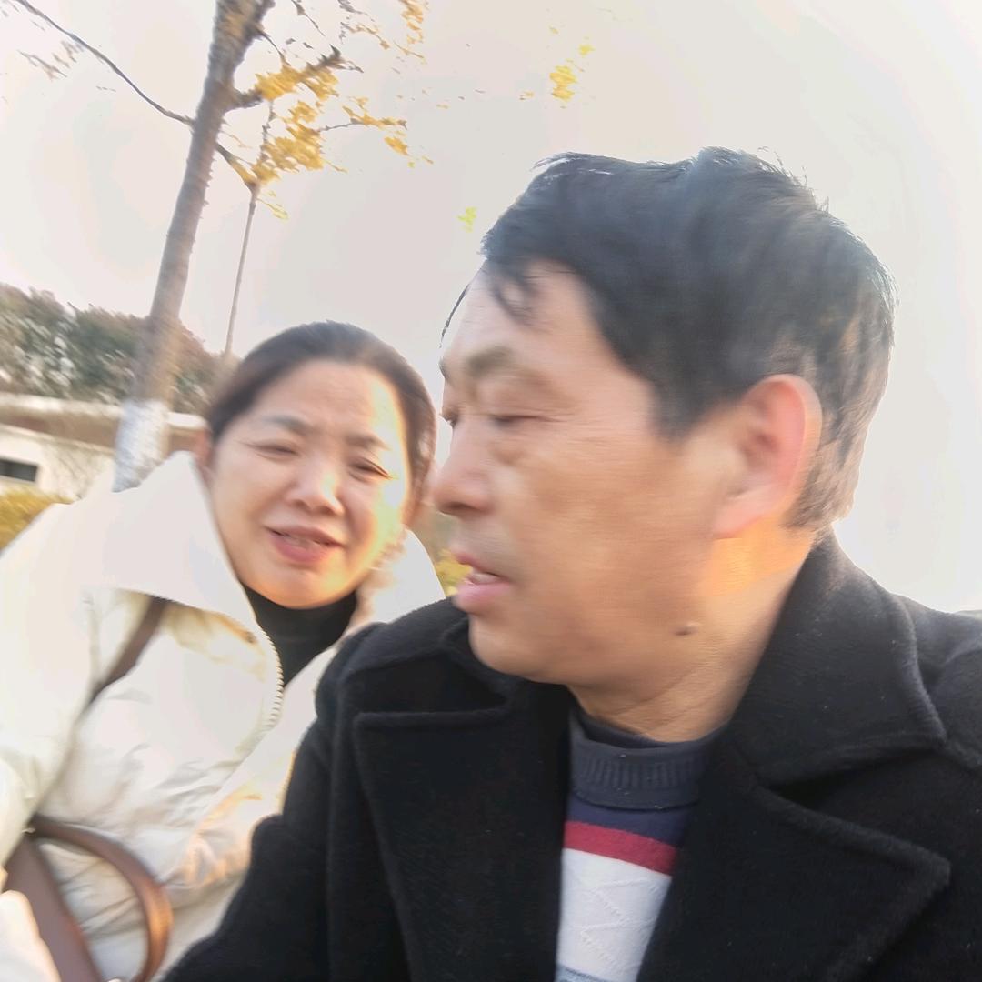 梦里南柯L