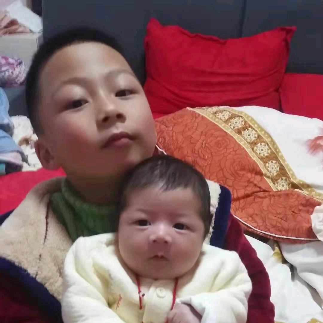 木木彡