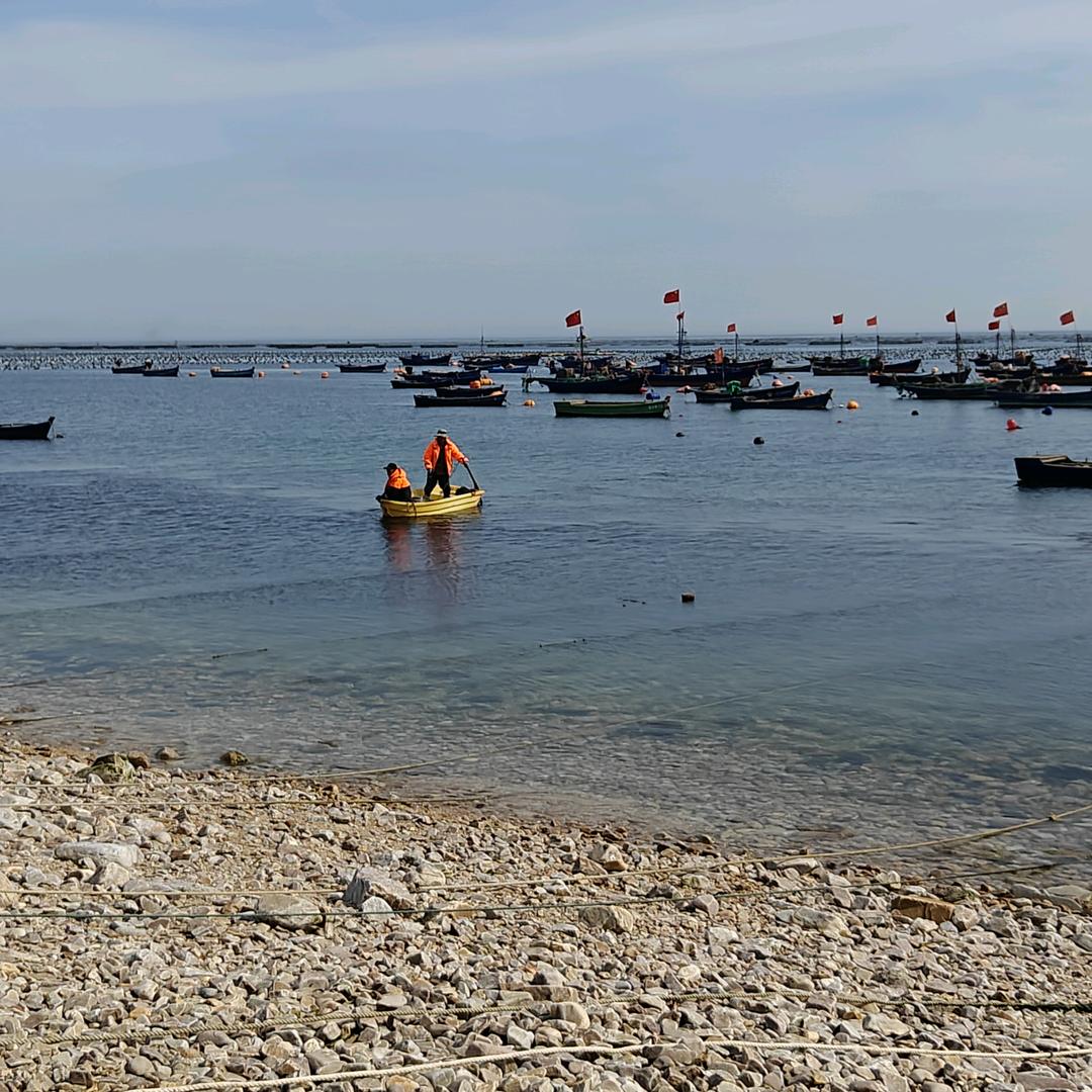 大钦岛老唐渔家纯野生海货