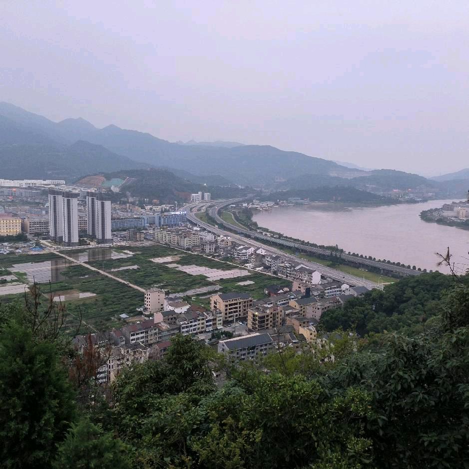 野马