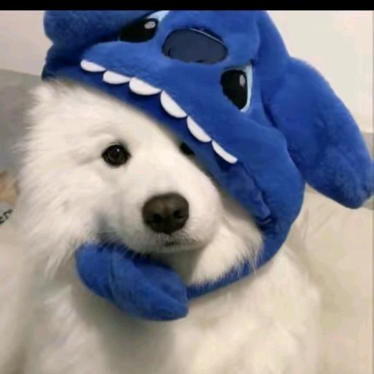 交给姐姐吧~