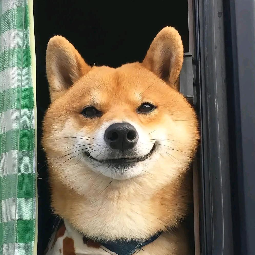 旺仔（更旺版）