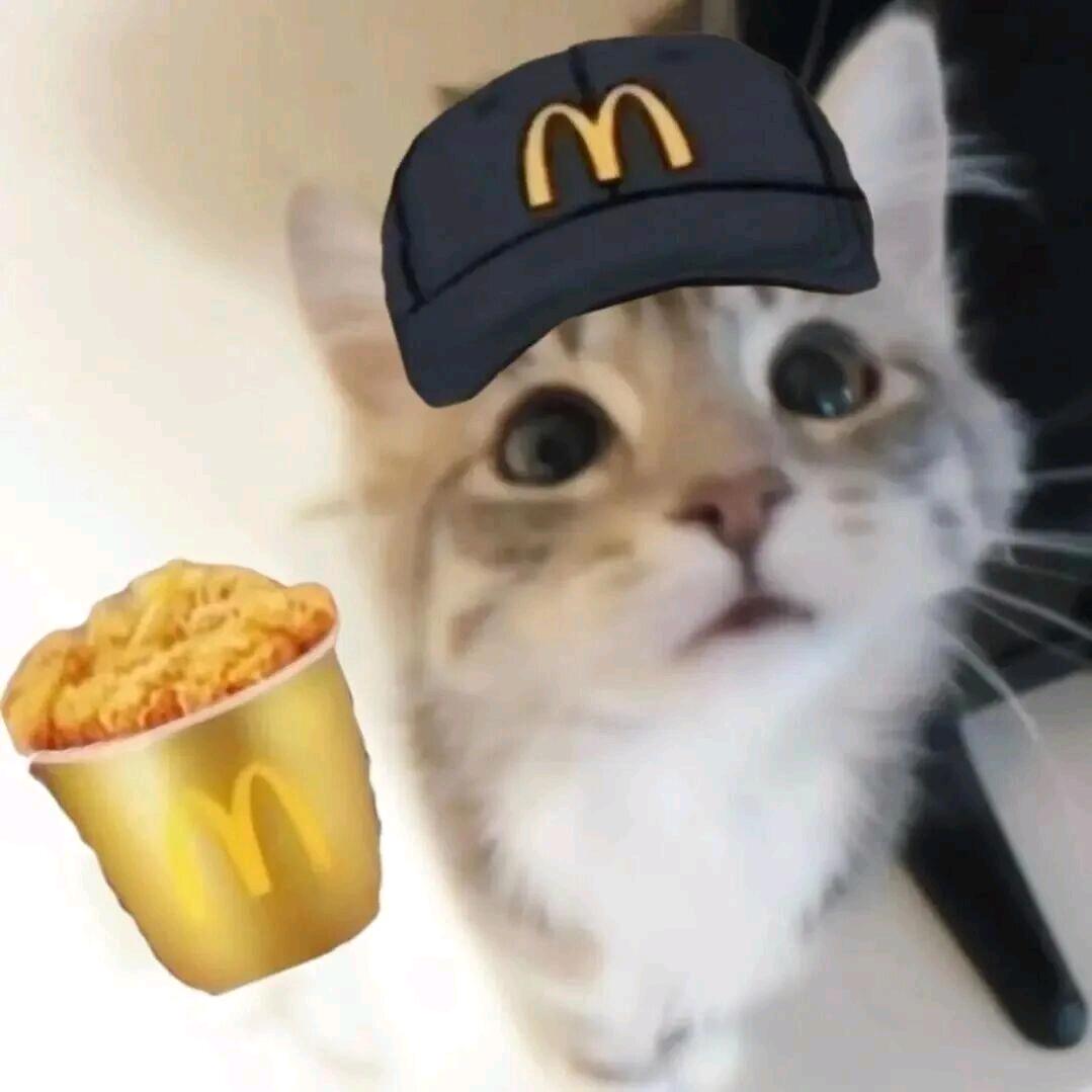 ddddrrrrrppp