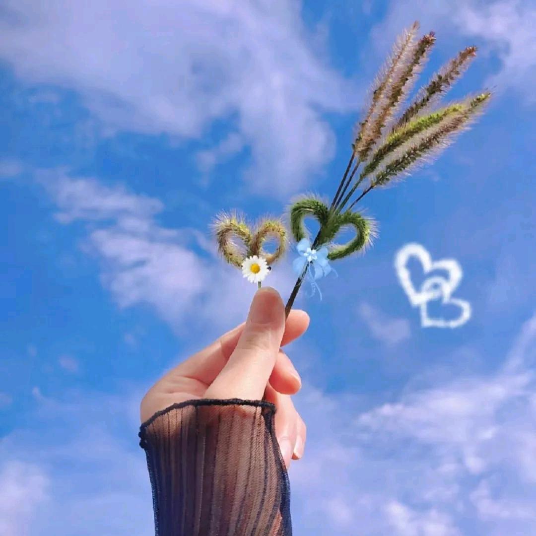 余生  随心  💕💕