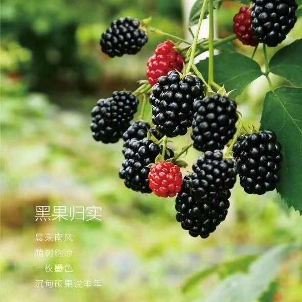 超棒