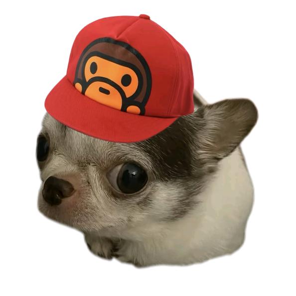 朗