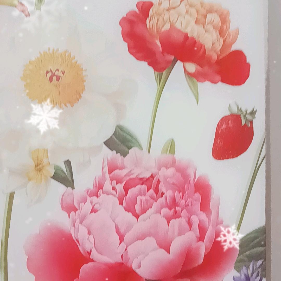 唐可儿