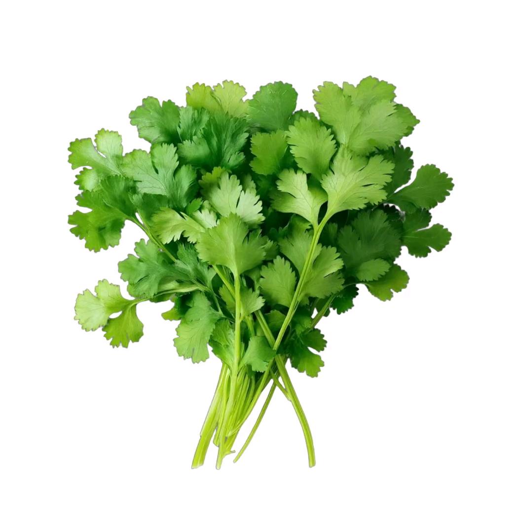 香菜超人.