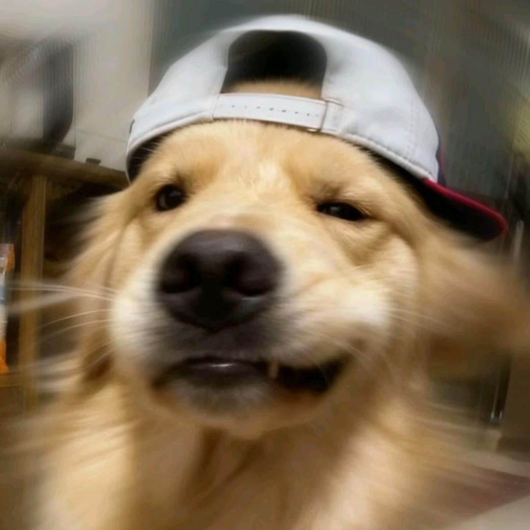 蜗牛