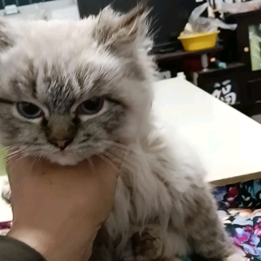 交友
