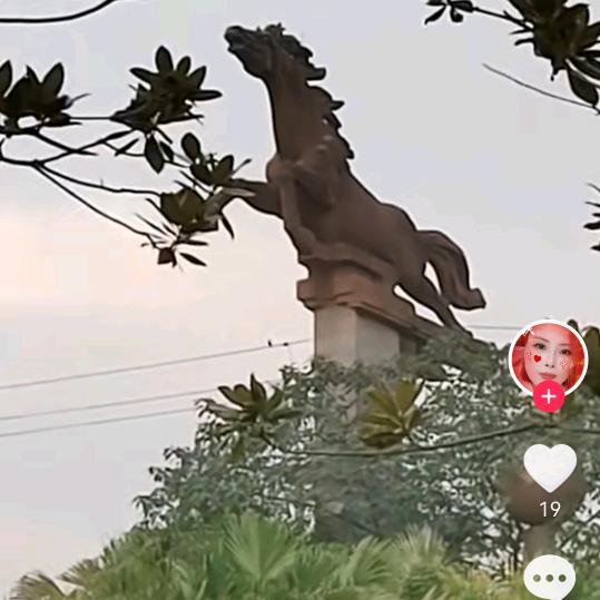 天天开心快乐每一天