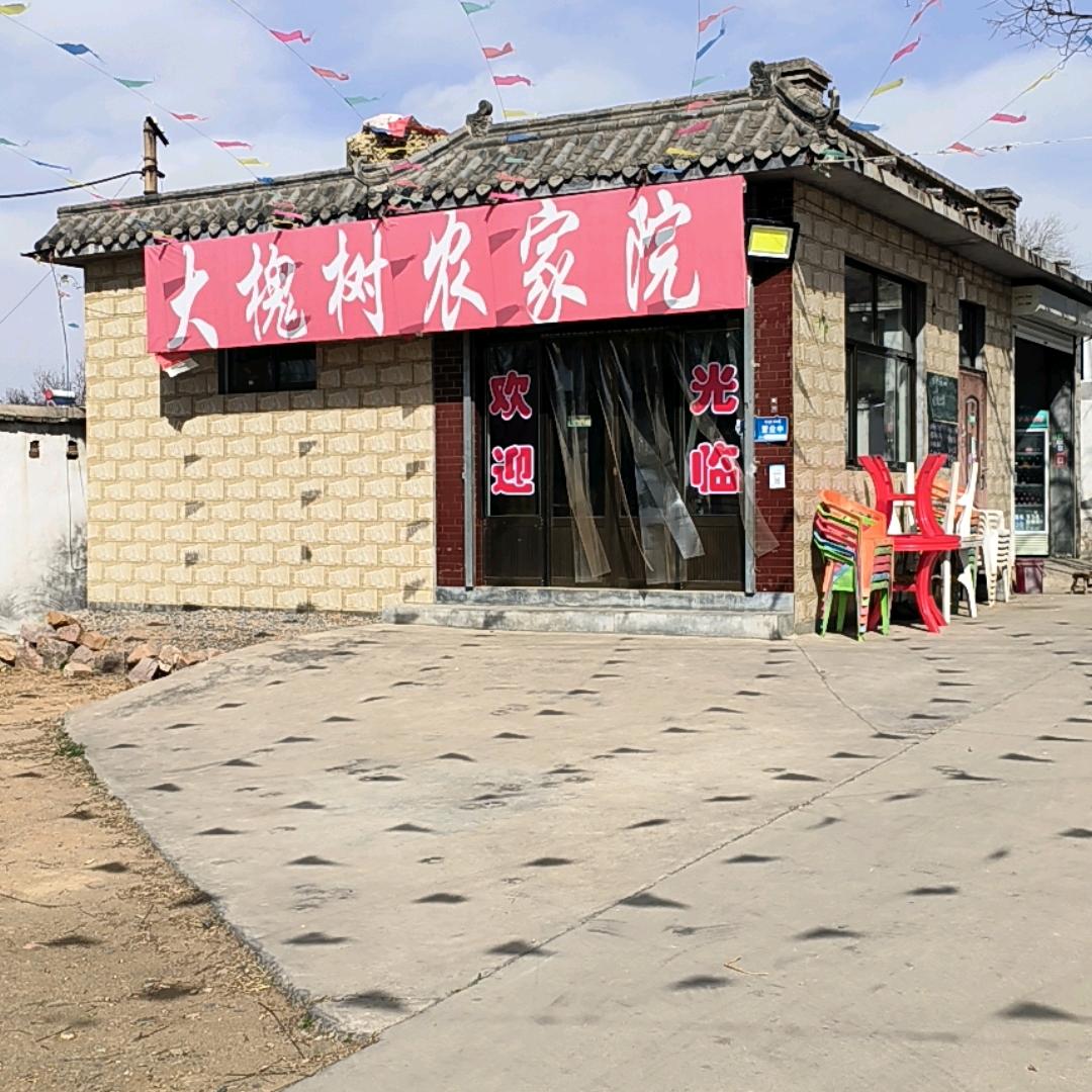 红崖谷大槐树农家院
