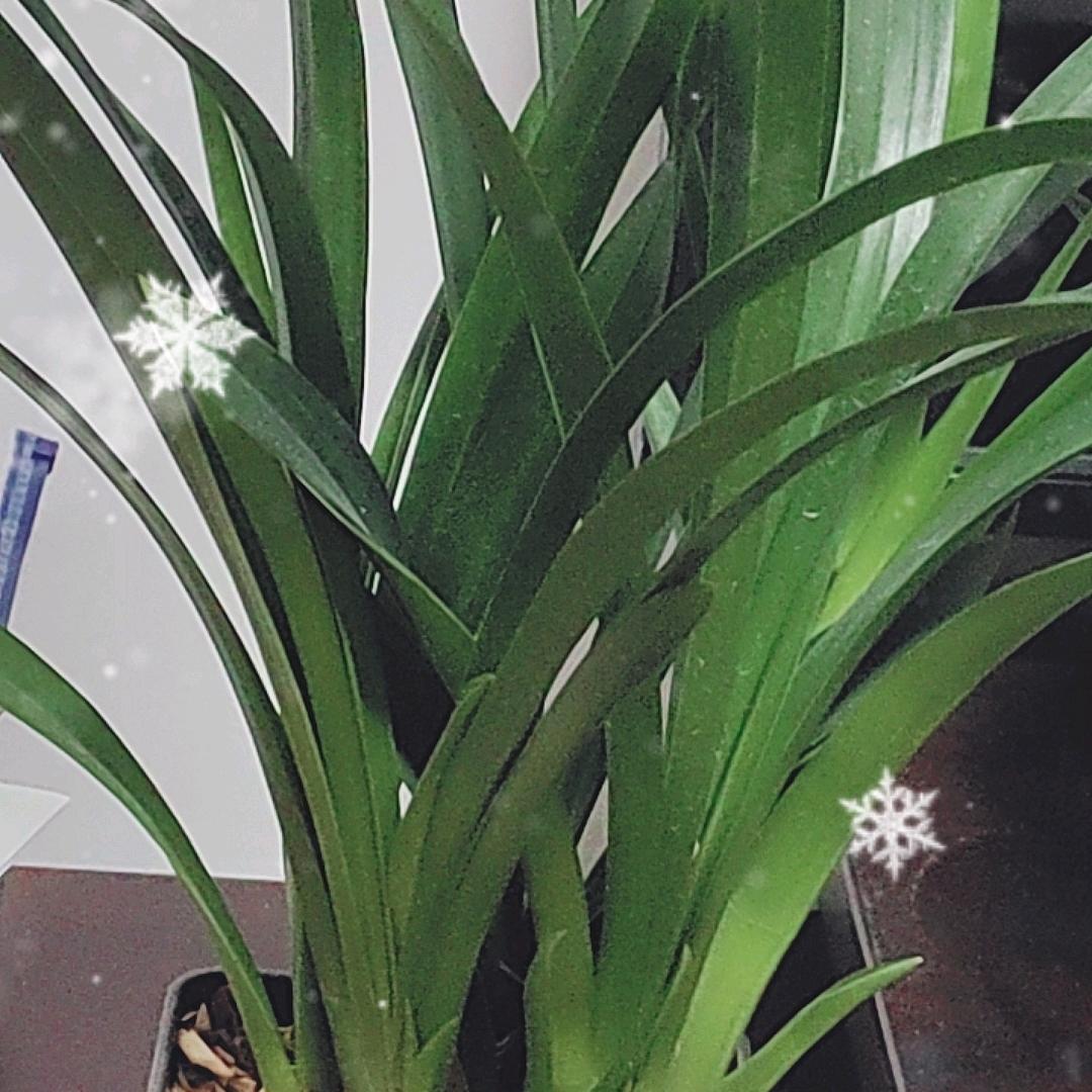 🌈✨✨学不会的勉强💐69.1.🐒摩