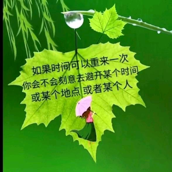 摸黑豆