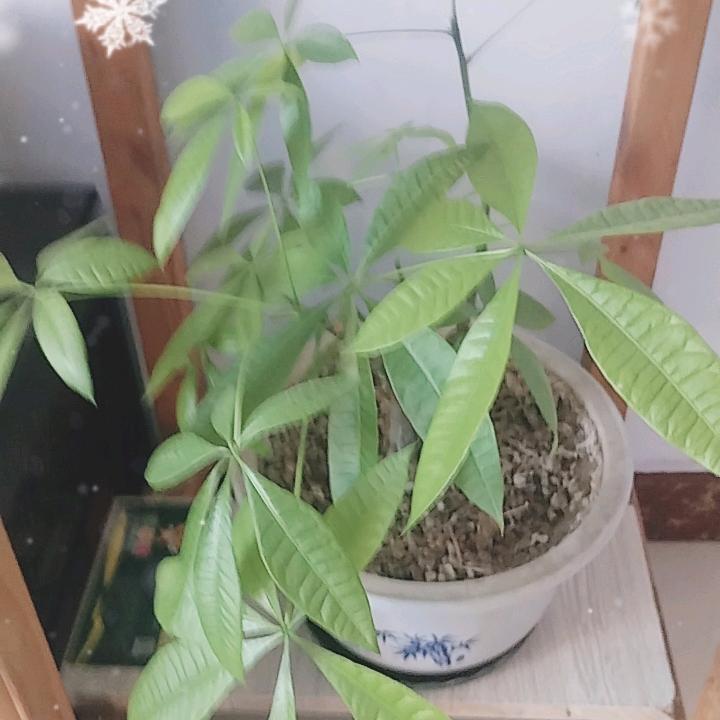 知足常乐