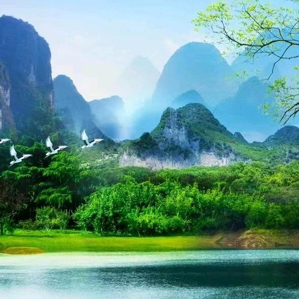 风轻云淡&百莉菲