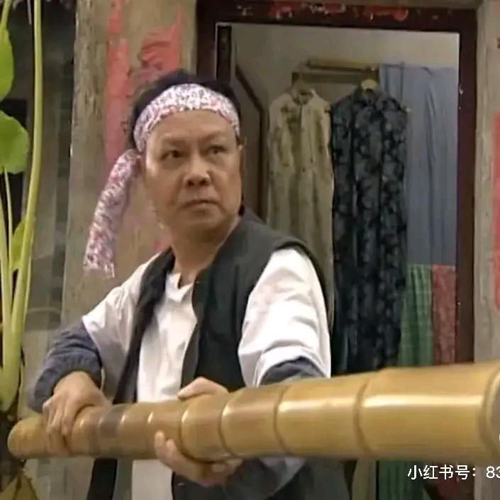 盲侠骑劫隐形战机