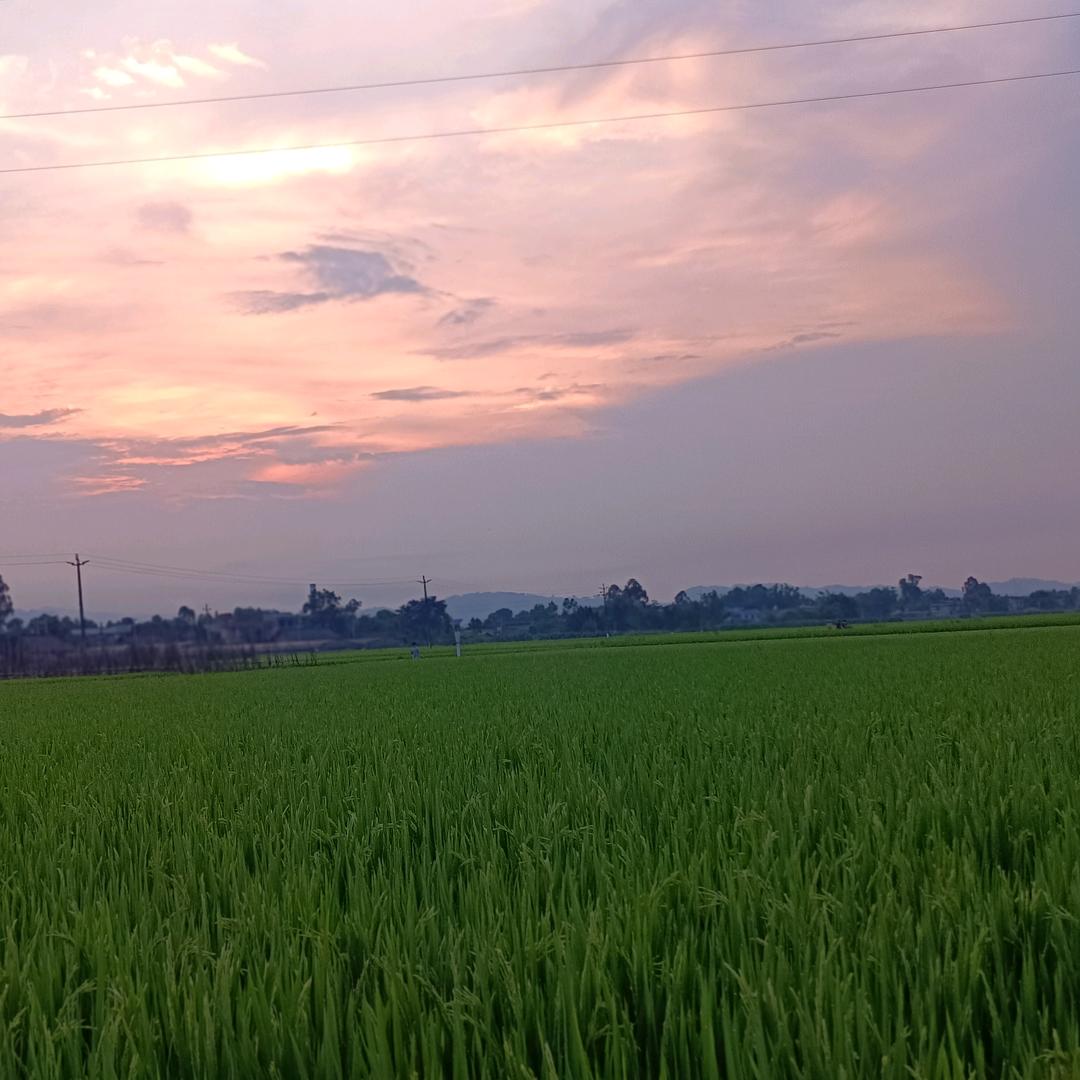 迪丽锅巴