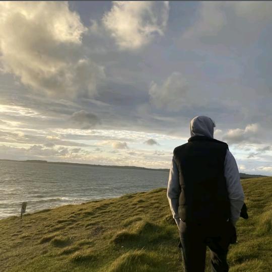 对话的两只海鸥